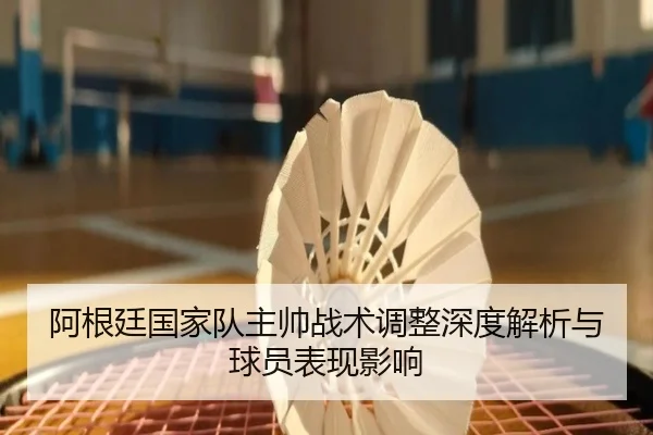 阿根廷国家队主帅战术调整深度解析与球员表现影响
